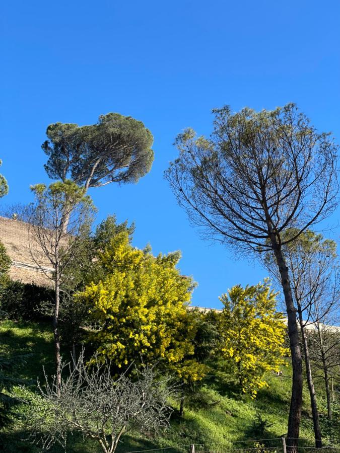 Vatican Green Holidays House Рим Экстерьер фото